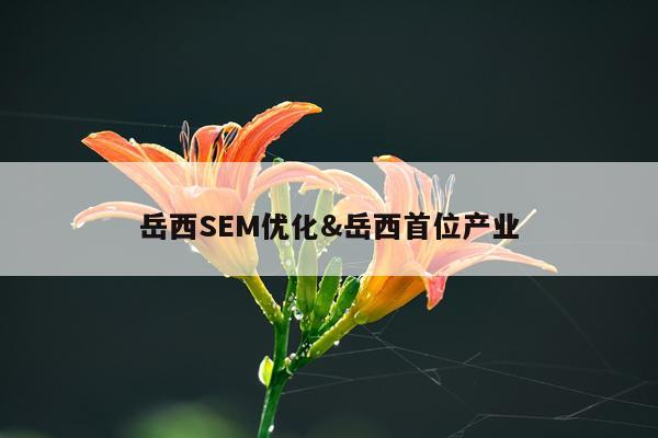 岳西SEM优化&岳西首位产业