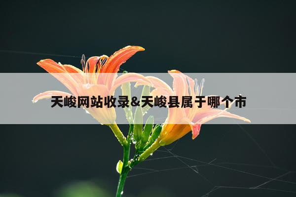 天峻网站收录&天峻县属于哪个市