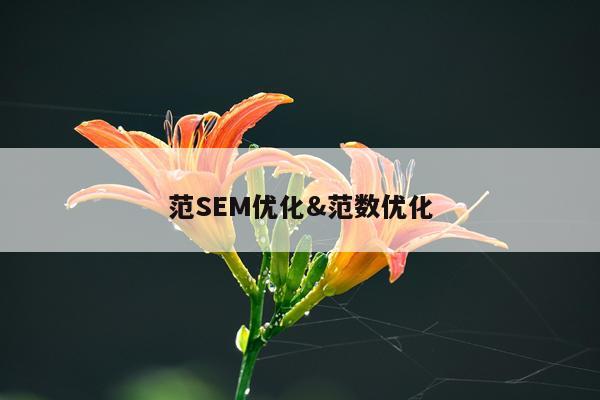 范SEM优化&范数优化
