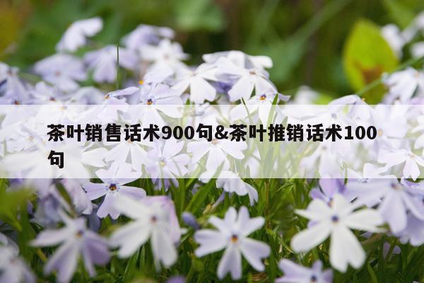 茶叶销售话术900句&茶叶推销话术100句