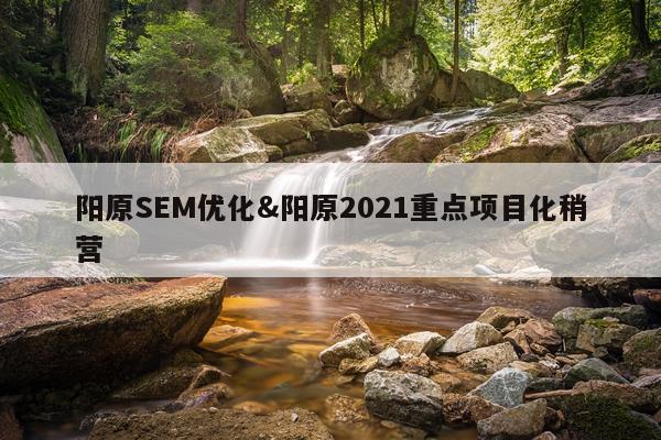 阳原SEM优化&阳原2021重点项目化稍营