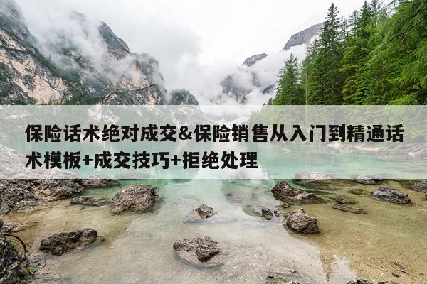 保险话术绝对成交&保险销售从入门到精通话术模板+成交技巧+拒绝处理