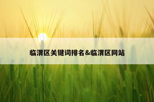 临渭区关键词排名&临渭区网站