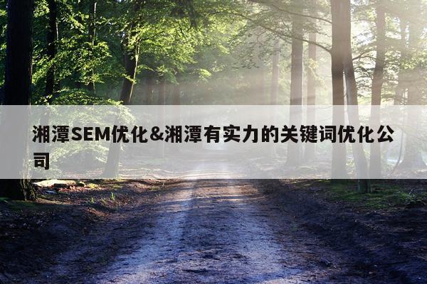 湘潭SEM优化&湘潭有实力的关键词优化公司