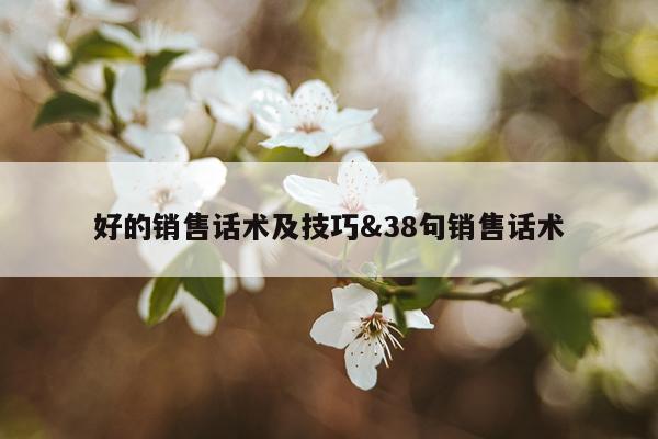 好的销售话术及技巧&38句销售话术