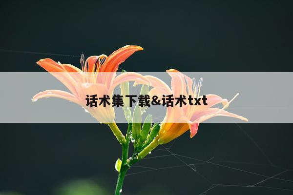 话术集下载&话术txt