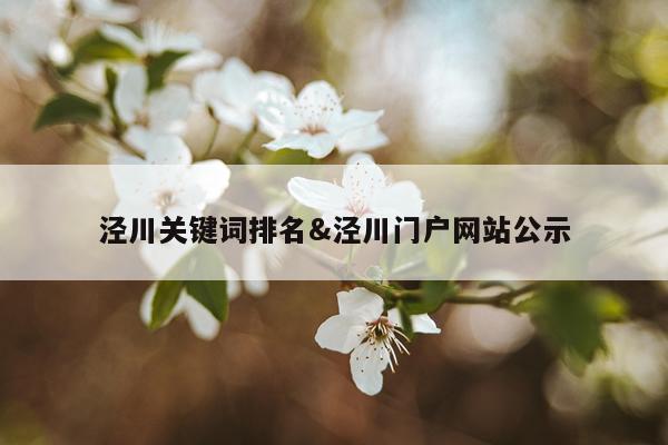 泾川关键词排名&泾川门户网站公示