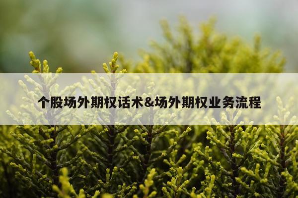 个股场外期权话术&场外期权业务流程