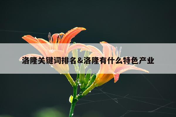 洛隆关键词排名&洛隆有什么特色产业