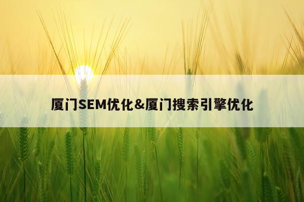 厦门SEM优化&厦门搜索引擎优化