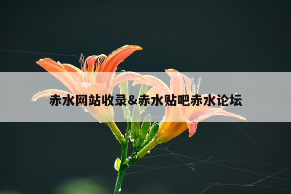 赤水网站收录&赤水贴吧赤水论坛