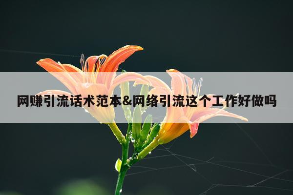 网赚引流话术范本&网络引流这个工作好做吗