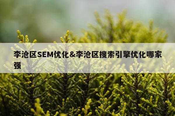 李沧区SEM优化&李沧区搜索引擎优化哪家强