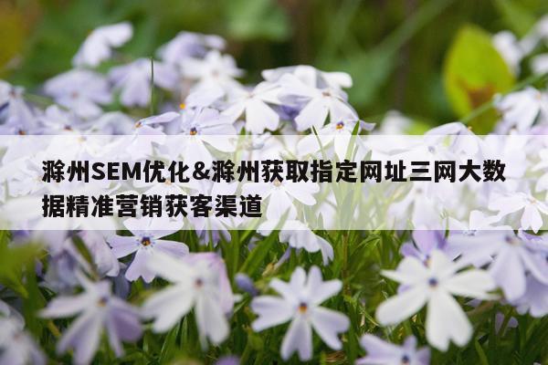 滁州SEM优化&滁州获取指定网址三网大数据精准营销获客渠道
