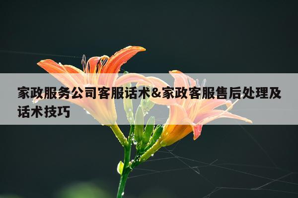 家政服务公司客服话术&家政客服售后处理及话术技巧