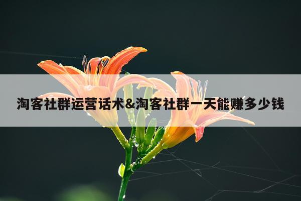 淘客社群运营话术&淘客社群一天能赚多少钱