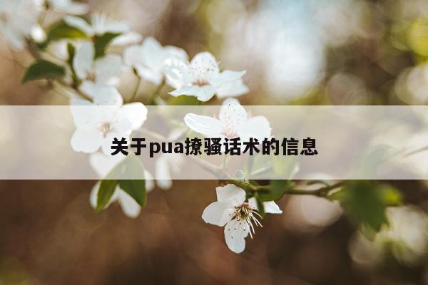 关于pua撩骚话术的信息