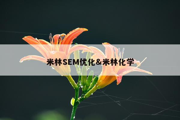 米林SEM优化&米林化学