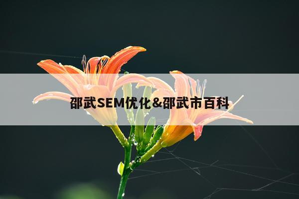 邵武SEM优化&邵武市百科