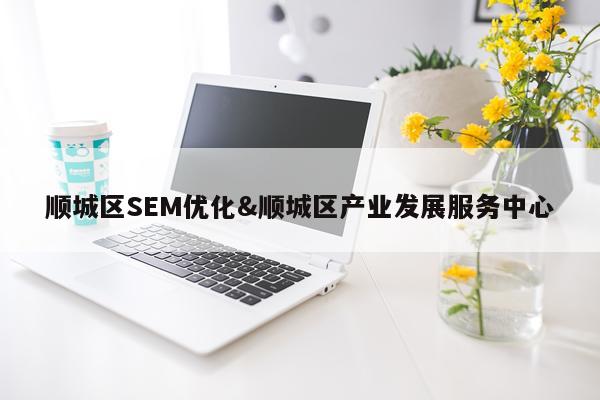 顺城区SEM优化&顺城区产业发展服务中心