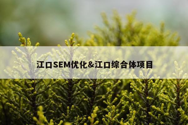 江口SEM优化&江口综合体项目