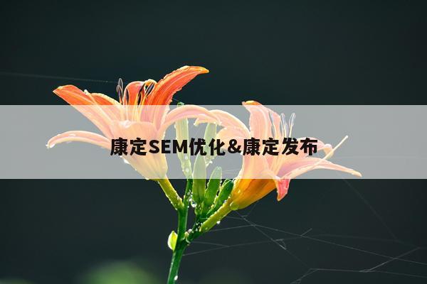 康定SEM优化&康定发布