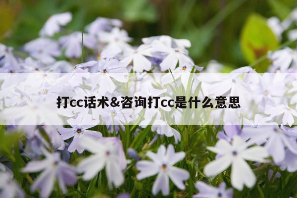 打cc话术&咨询打cc是什么意思