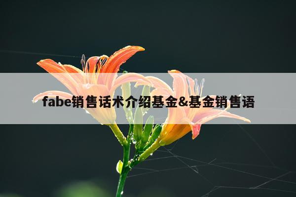 fabe销售话术介绍基金&基金销售语