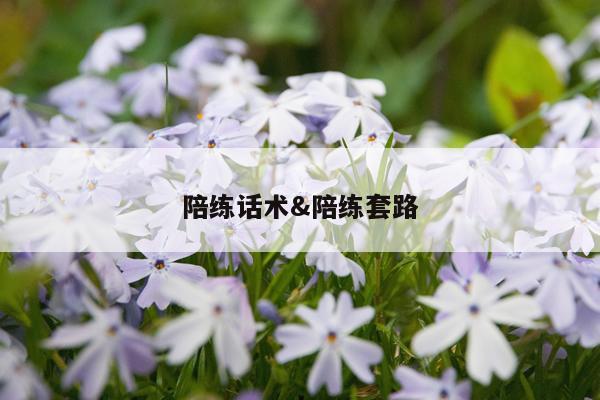 陪练话术&陪练套路
