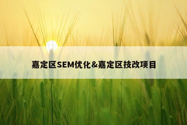 嘉定区SEM优化&嘉定区技改项目