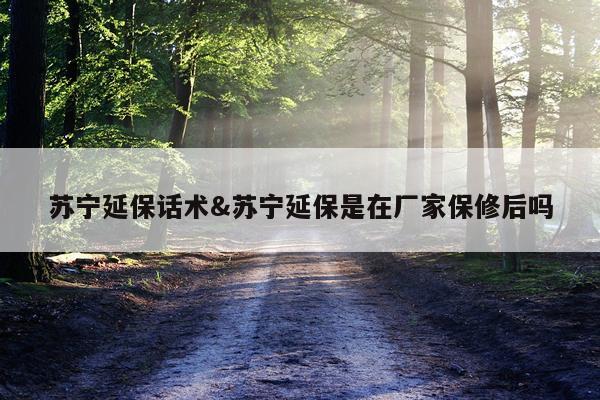 苏宁延保话术&苏宁延保是在厂家保修后吗