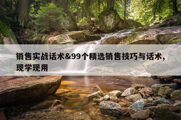 销售实战话术&99个精选销售技巧与话术,现学现用