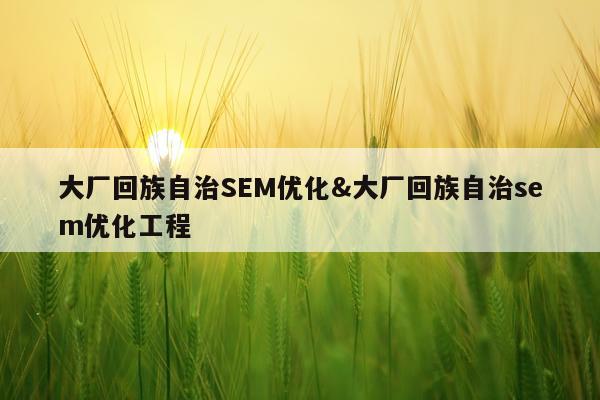 大厂回族自治SEM优化&大厂回族自治sem优化工程