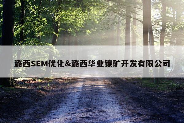 潞西SEM优化&潞西华业镍矿开发有限公司