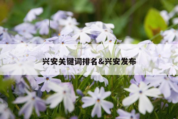 兴安关键词排名&兴安发布