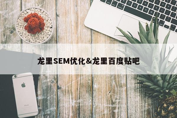 龙里SEM优化&龙里百度贴吧