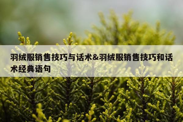 羽绒服销售技巧与话术&羽绒服销售技巧和话术经典语句