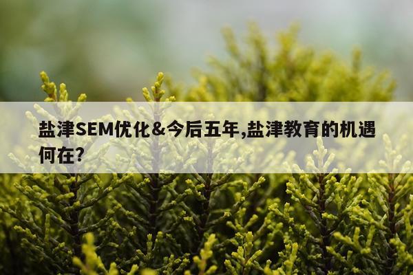 盐津SEM优化&今后五年,盐津教育的机遇何在?