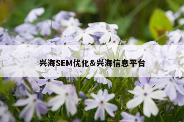 兴海SEM优化&兴海信息平台