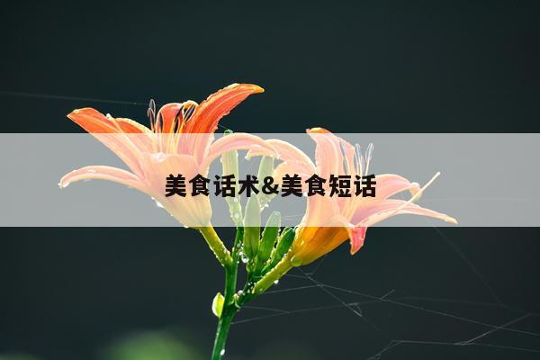 美食话术&美食短话