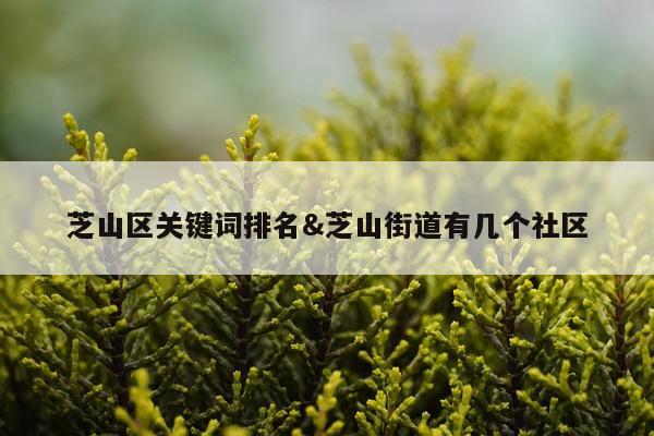 芝山区关键词排名&芝山街道有几个社区