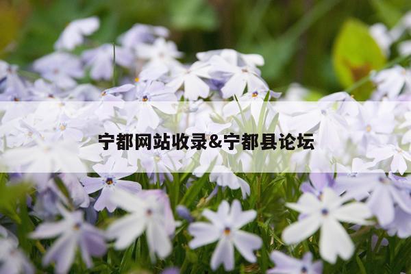 宁都网站收录&宁都县论坛