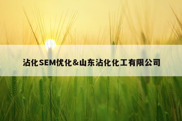 沾化SEM优化&山东沾化化工有限公司