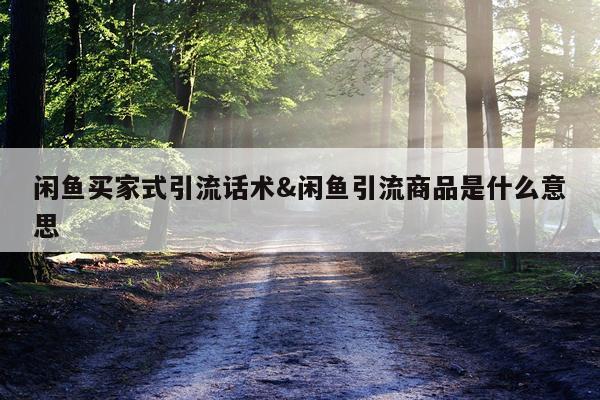 闲鱼买家式引流话术&闲鱼引流商品是什么意思