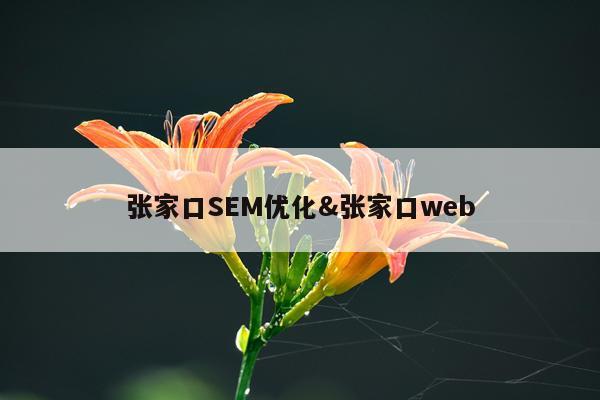 张家口SEM优化&张家口web