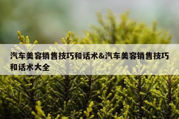 汽车美容销售技巧和话术&汽车美容销售技巧和话术大全