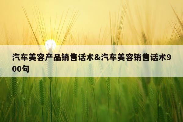 汽车美容产品销售话术&汽车美容销售话术900句
