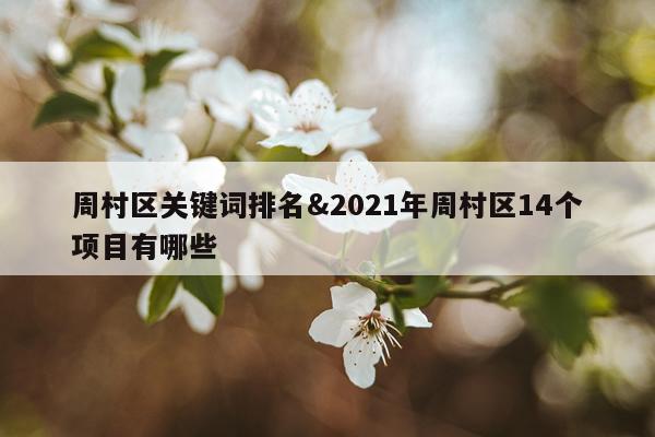 周村区关键词排名&2021年周村区14个项目有哪些