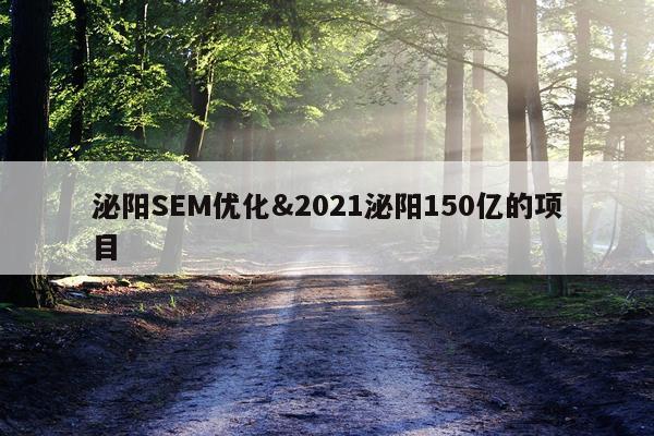 泌阳SEM优化&2021泌阳150亿的项目