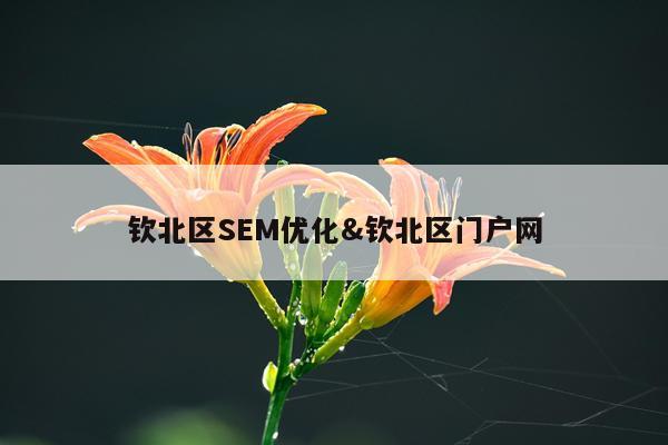 钦北区SEM优化&钦北区门户网